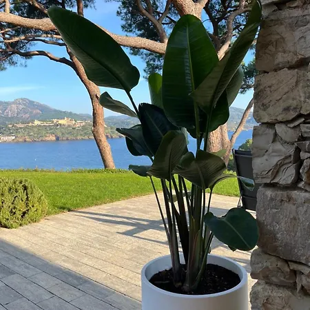 Villa La Guardiola - Capo Perla *